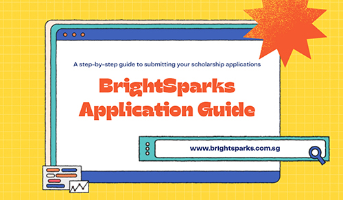 BrightSparks Application Guide