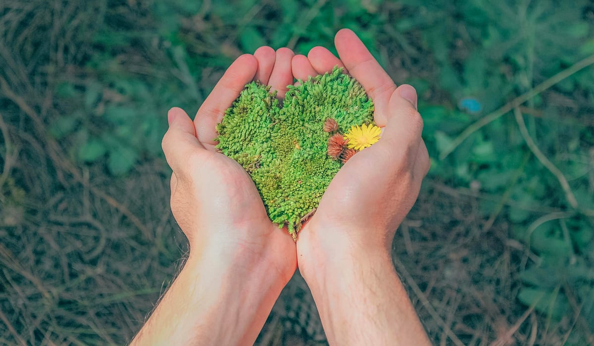 Nurturing the Next Generation of Sustainability Leaders 