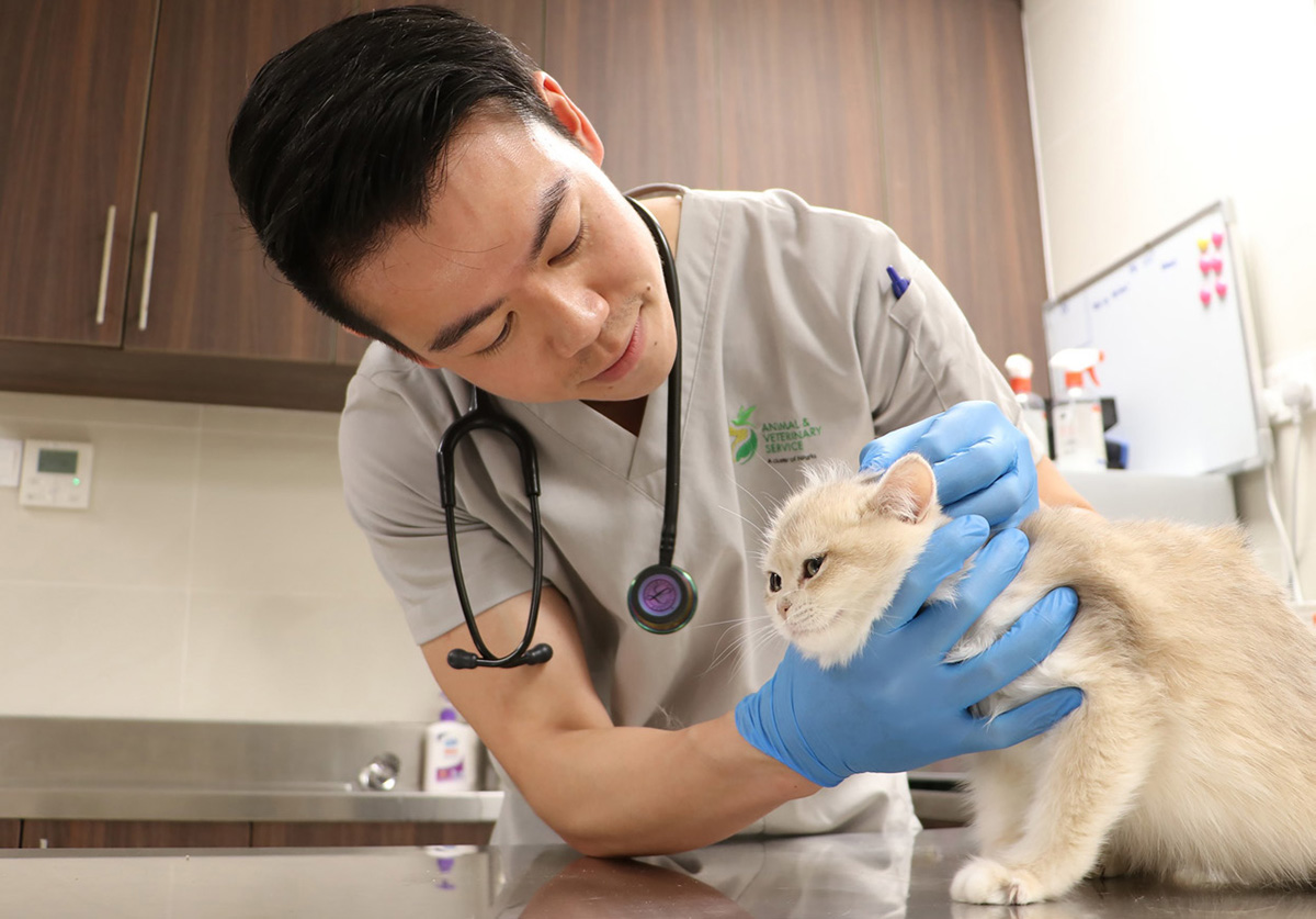 Dr. Sean Sum