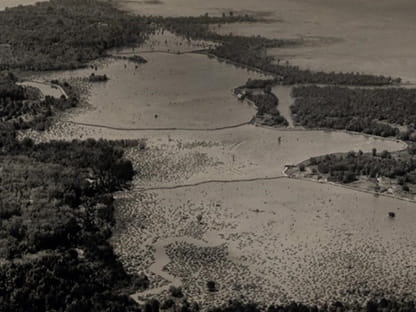 1960s-jurong-swamps