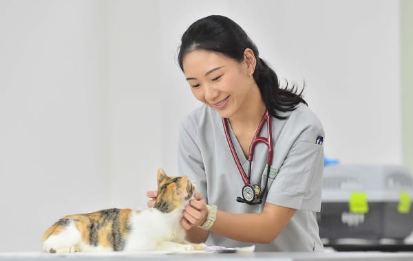 scholar - Dr Lim Hui Hui Olivia