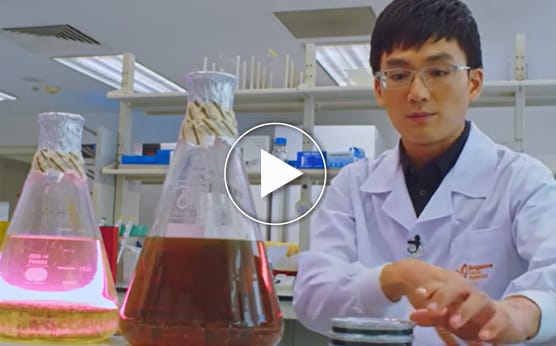 What is a typical day for a Food Scientist?