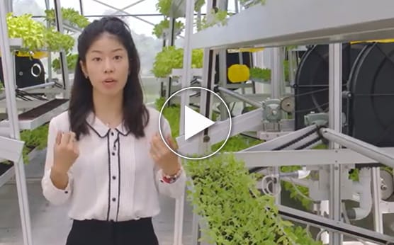 Keen to contribute towards Singapore’s 30 by 30 goal for food security?