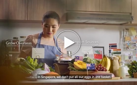 The Singapore Food Story 