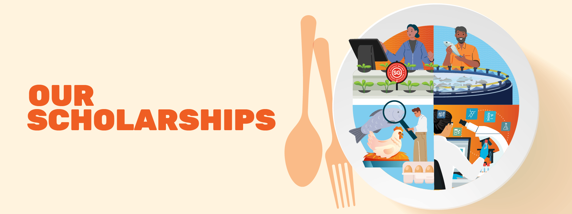 Our Scholarships